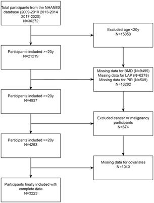 Lipid accumulation product, poverty income ratio, and bone mineral density in U.S. adults: a mediation analysis based on NHANES (2009–2020)